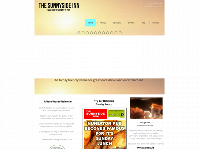 thesunny.co.uk snapshot