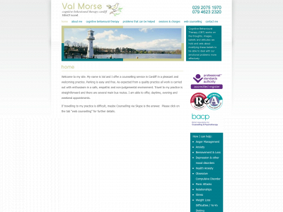 cognitivetherapycardiff.co.uk snapshot