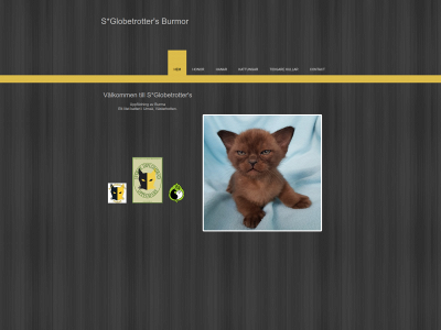 globetrotterburmor.com snapshot