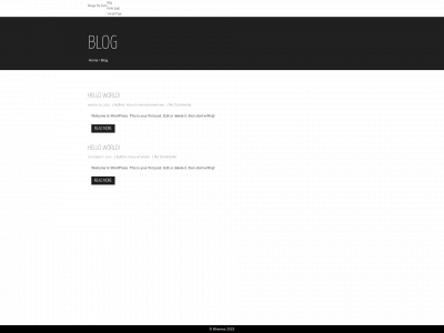 belugathesalon.com snapshot