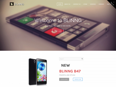 blinng.weebly.com snapshot
