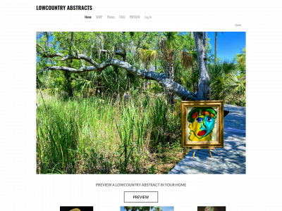www.lowcountryabstracts.com snapshot