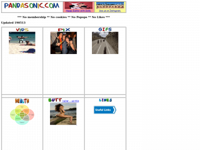 pandasonic.com snapshot