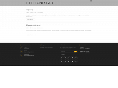 littleoneslab.com snapshot