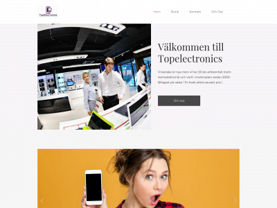 topelectronics.online snapshot