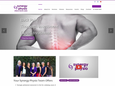 synergyphysio.com.au snapshot