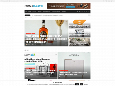 cerebral-overload.com snapshot