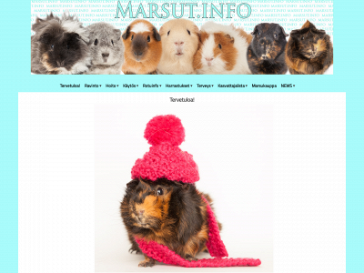 marsut.info snapshot