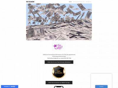 www.thetaxqueens.com snapshot