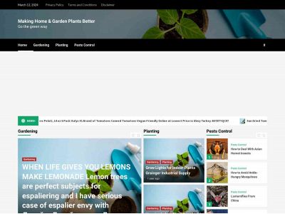 dremi.net snapshot
