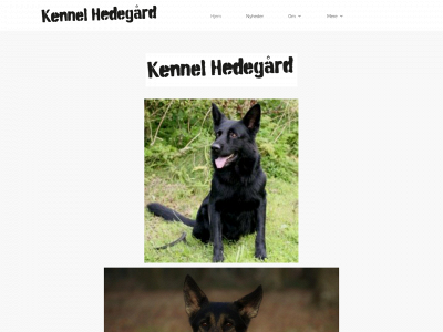 kennelhedegaard.dk snapshot