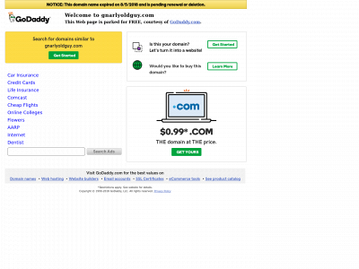 gnarlyoldguy.com snapshot