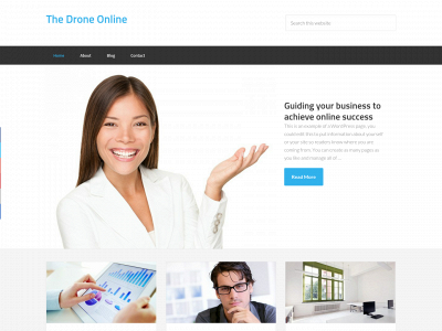 thedroneonline.com snapshot