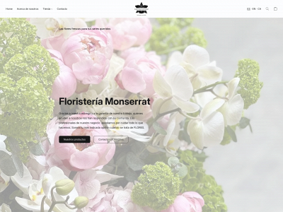 floristeriamontserrat.com snapshot