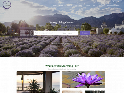 oilyalliance.com snapshot