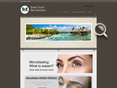 www.smarttouchskin.solutions snapshot