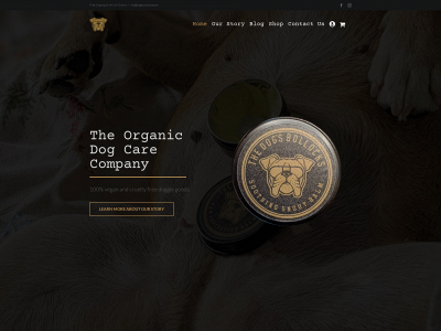 punkdog.co.uk snapshot