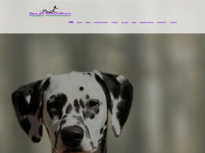 nspirdals.com snapshot