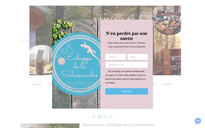 www.echoppesalamandre.fr snapshot