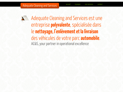 adequatecleaning.be snapshot