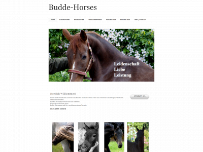 budde-pferde.de snapshot