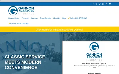 www.gannonassociates.com snapshot