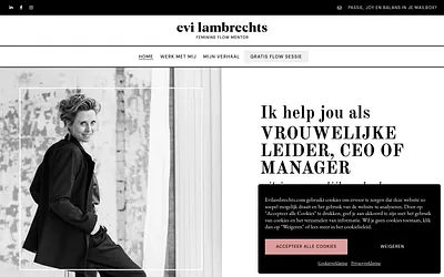 evilambrechts.com snapshot
