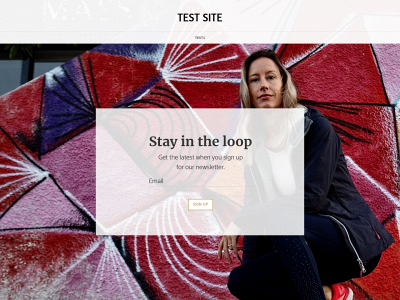 sarahtest202.weebly.com snapshot