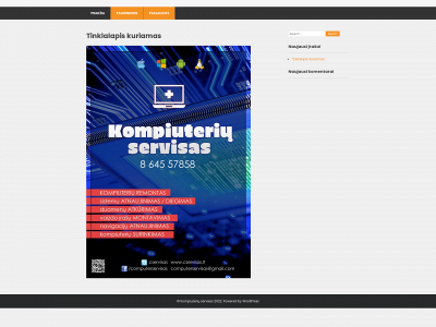 cservisas.lt snapshot