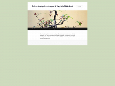 psichologe.puslapiai.lt snapshot