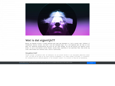 fobieen.weebly.com snapshot