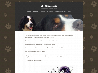 dubevernois.be snapshot