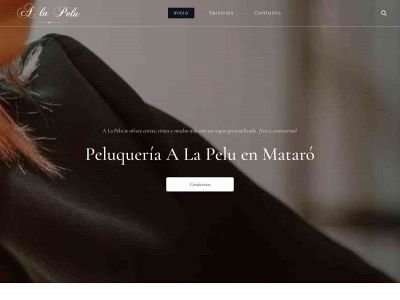 alapelumataro.es snapshot