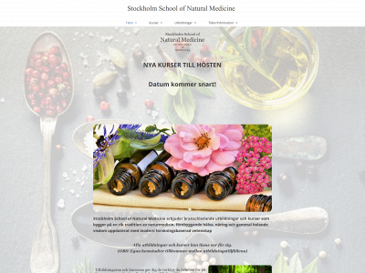 naturalschool.se snapshot