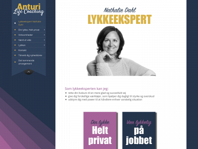 anturi.dk snapshot