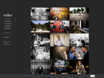 fotoidile.lt snapshot