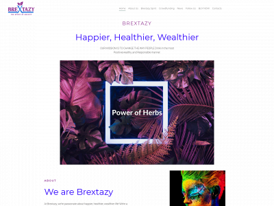 brextazy.com snapshot