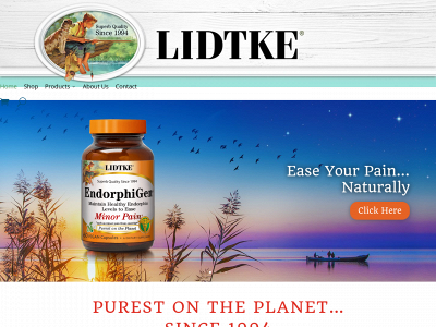 lidtke.com snapshot