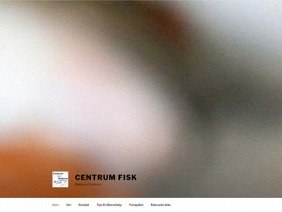 centrum-fisk.dk snapshot