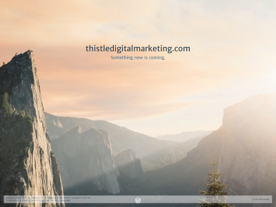 thistledigitalmarketing.com snapshot