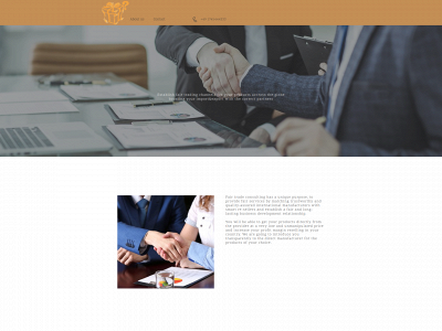 fair-trade-consulting.de snapshot