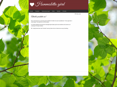 hommeslettagard.no snapshot