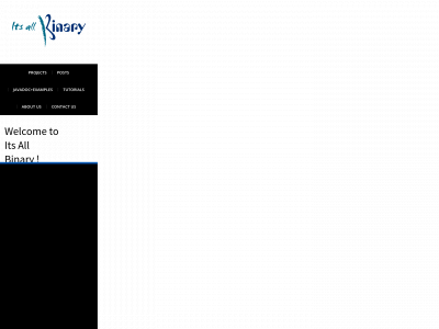 itsallbinary.com snapshot