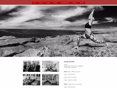 trananara.se snapshot