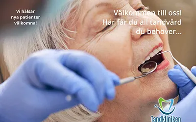 tandosterlen.se snapshot
