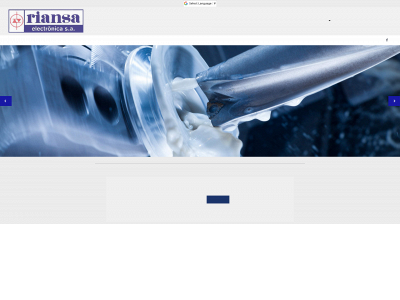 riansaelectronica.com snapshot