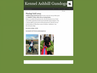 ashhill.dk snapshot