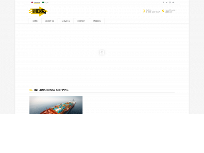 fastlinesa.com snapshot