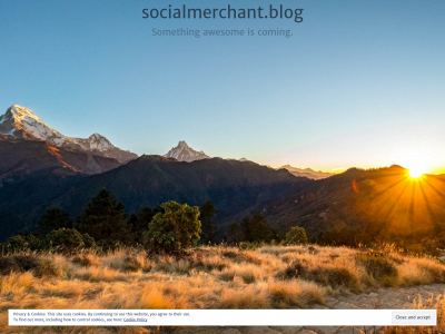 socialmerchant.blog snapshot