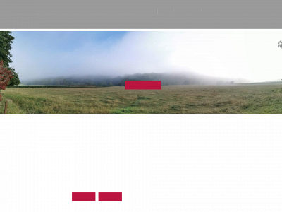 loreedespres.be snapshot